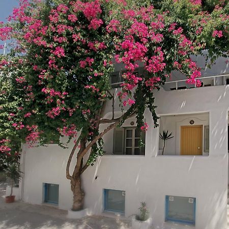Glaros Studios Naxos City Екстериор снимка